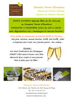 Matinée festive pour préparer les fêtes!!!!